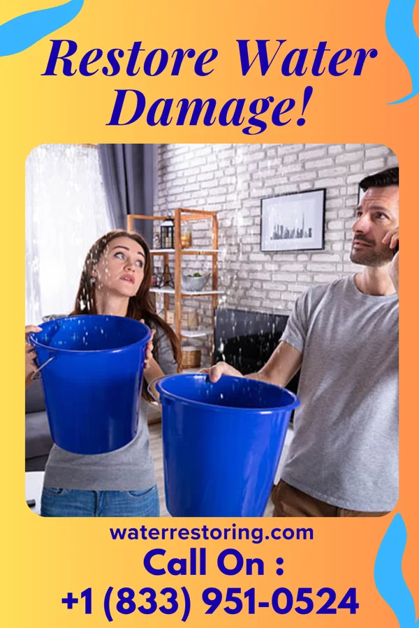 water restoration Express Disaster Cleanup Co Exmore