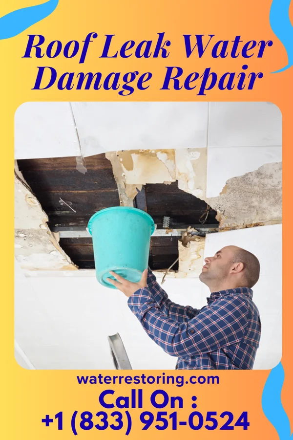 Roof Leak Water Damage Repair in Exmore, VA