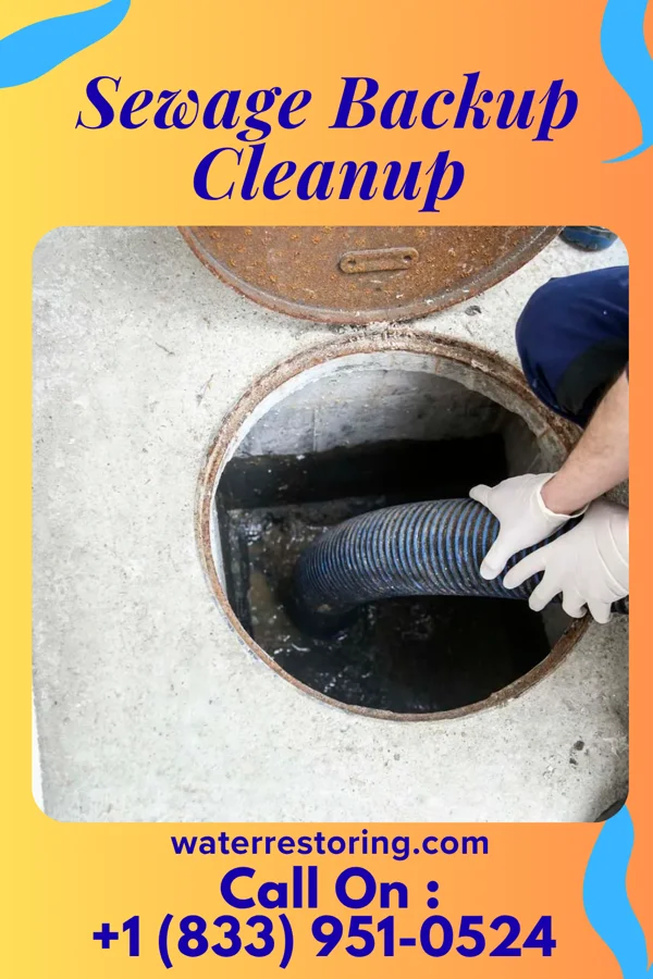 Sewage Backup Cleanup in Exmore, VA
