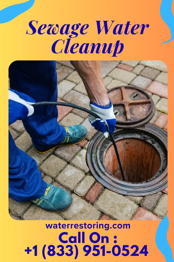 Sewage Water Cleanup in Exmore, VA