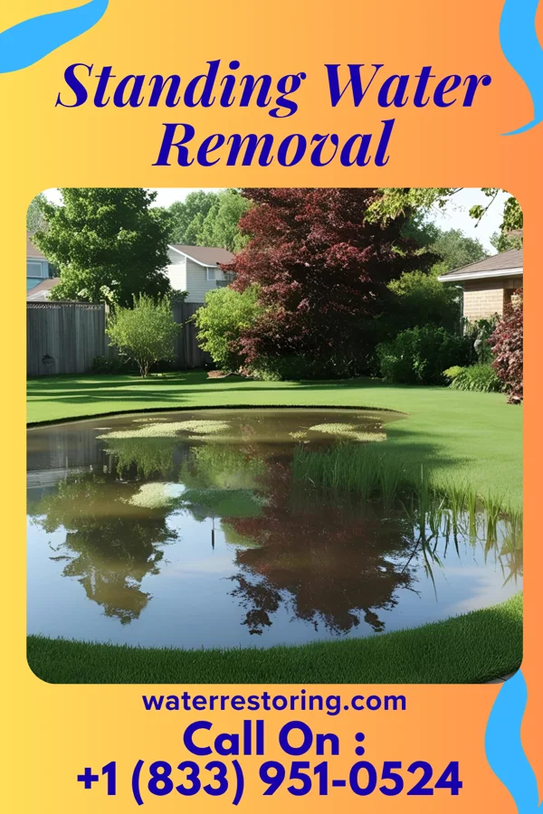 Standing Water Removal in Exmore, VA